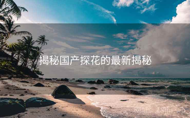 揭秘国产探花的最新揭秘