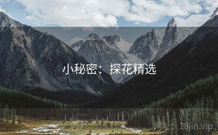 小秘密：探花精选