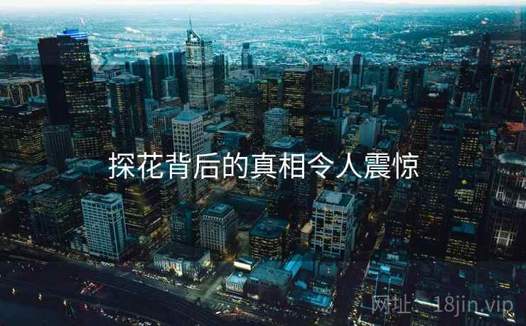 探花背后的真相令人震惊