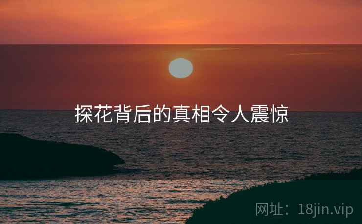 探花背后的真相令人震惊
