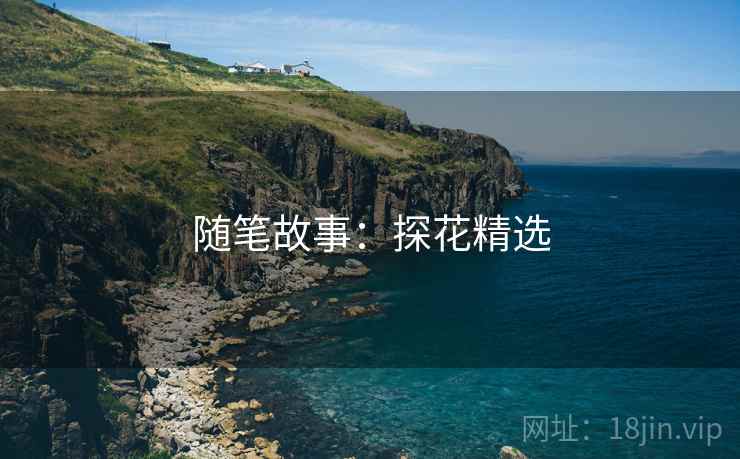 随笔故事：探花精选