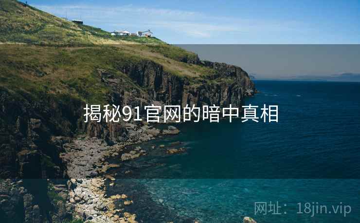 揭秘91官网的暗中真相