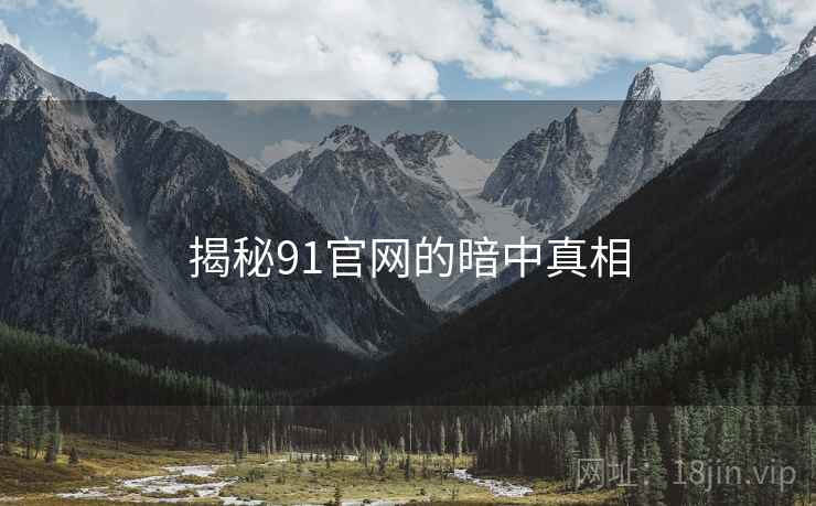 揭秘91官网的暗中真相