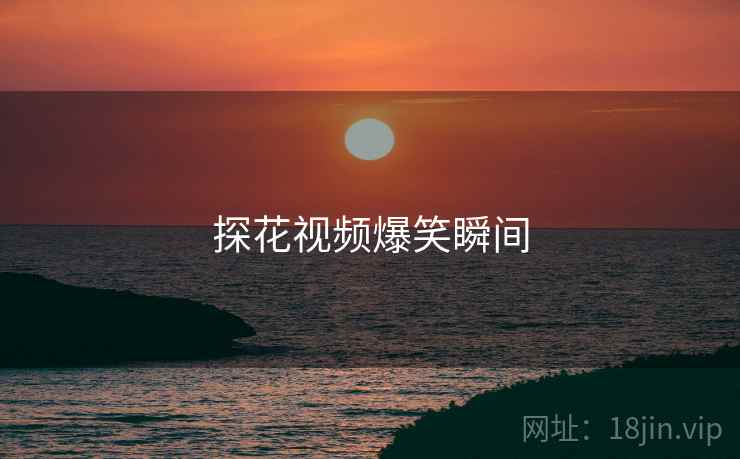 探花视频爆笑瞬间