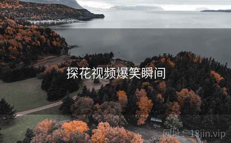探花视频爆笑瞬间