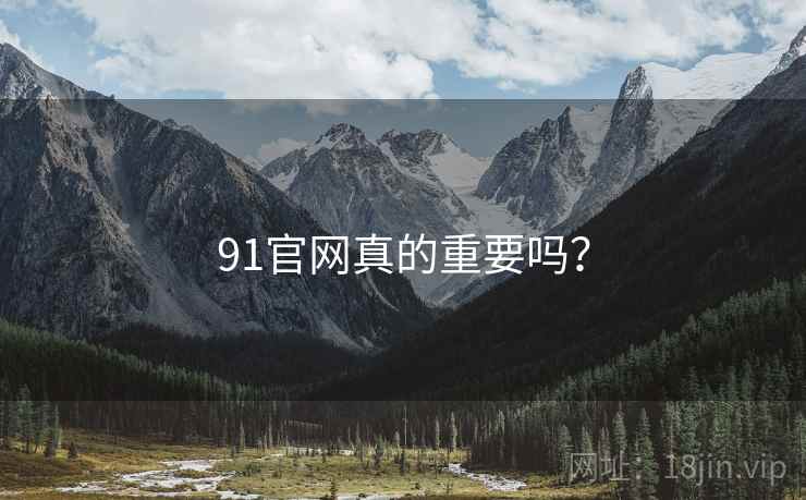 91官网真的重要吗？
