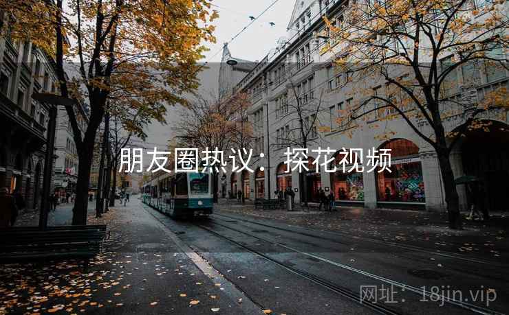 朋友圈热议：探花视频