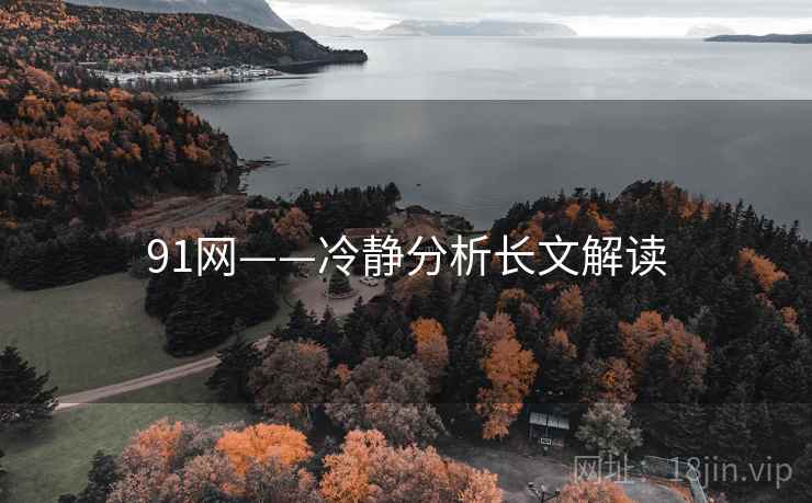 91网——冷静分析长文解读