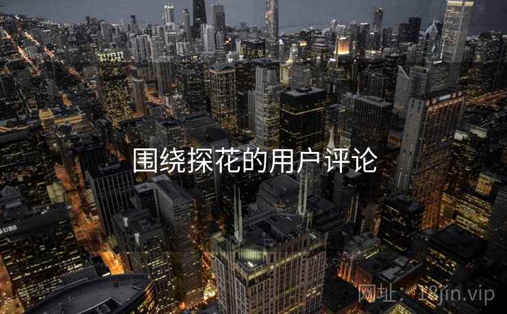 围绕探花的用户评论