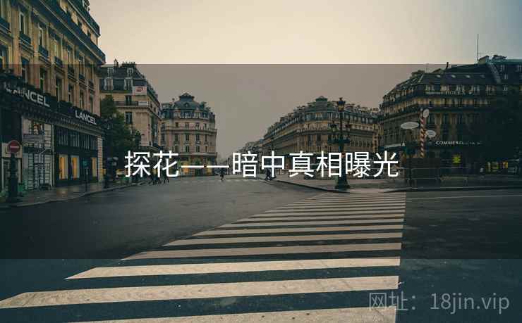 探花——暗中真相曝光