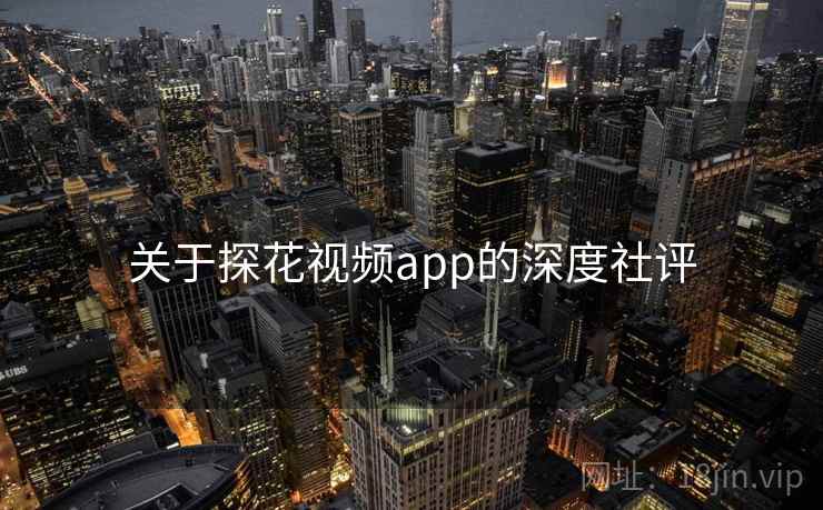 关于探花视频app的深度社评