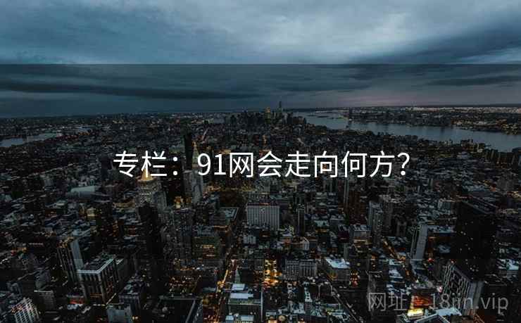 专栏：91网会走向何方？